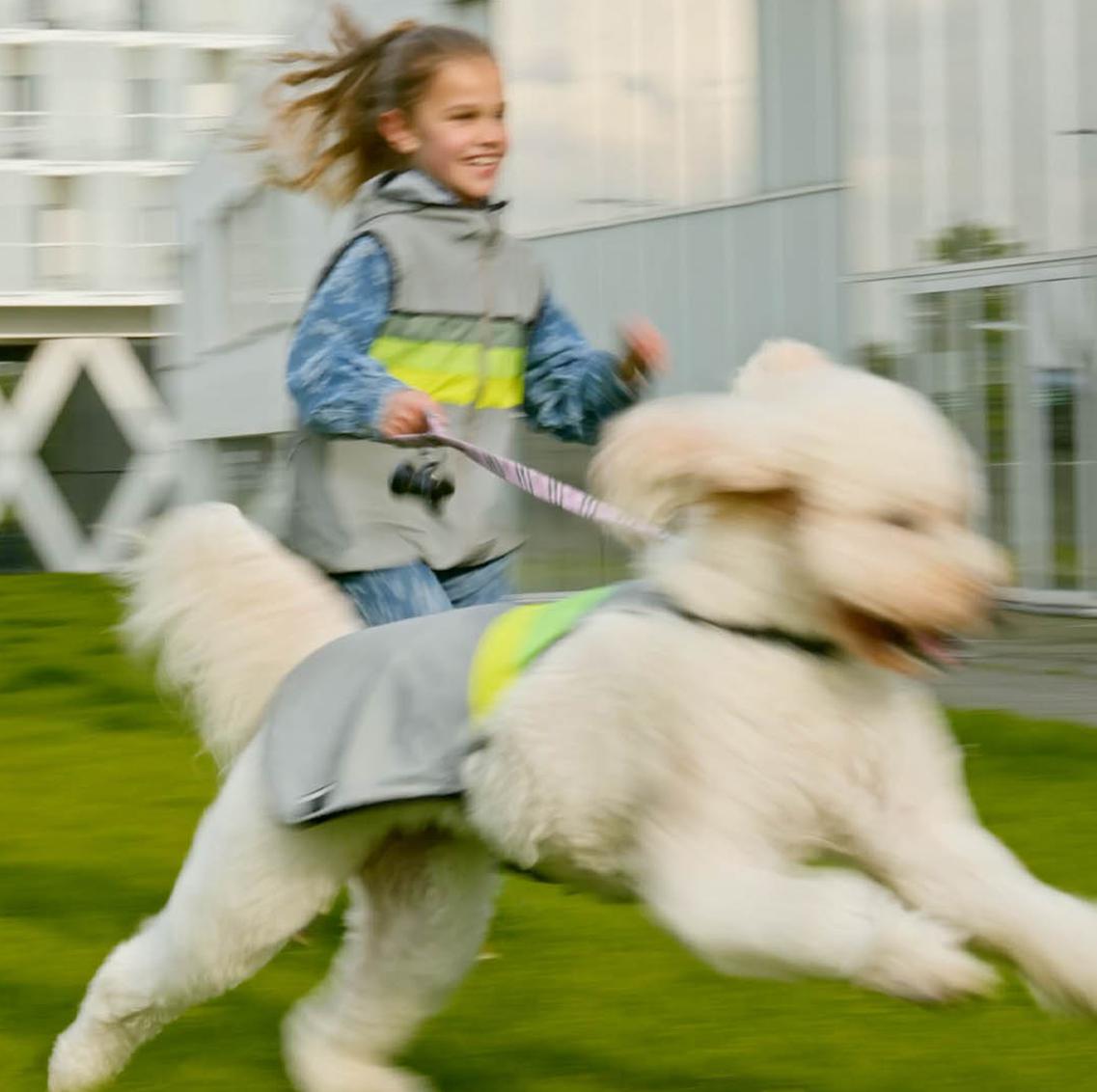 dogwalking