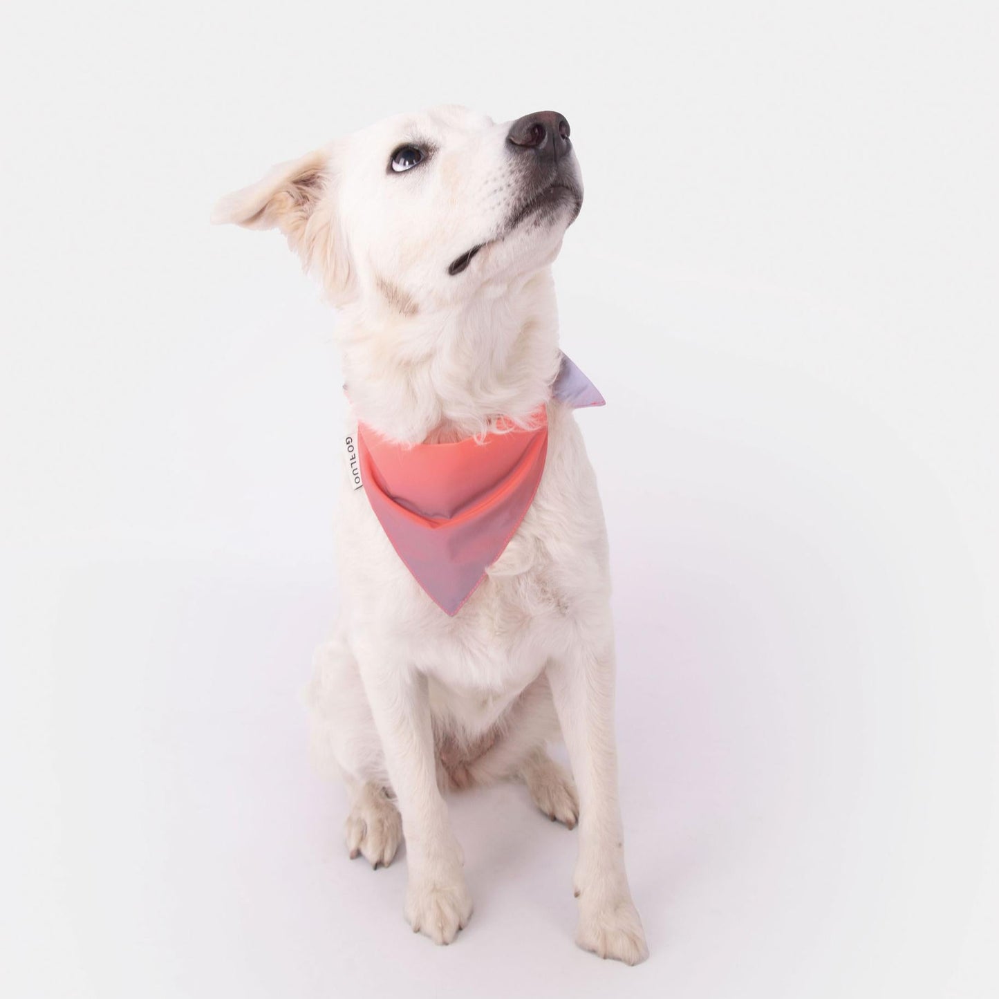 Bandana